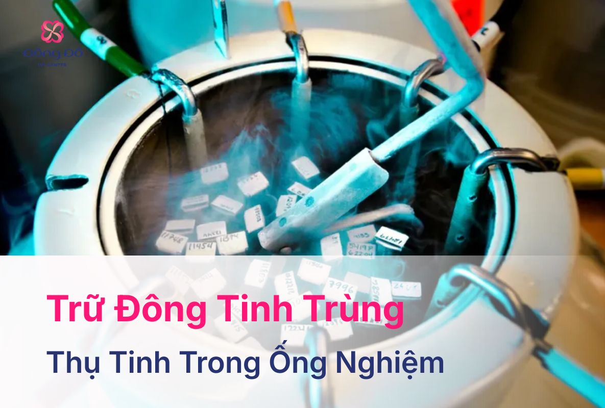 Trữ Đông Tinh Trùng: Quy Trình, Ai Nên Thực Hiện