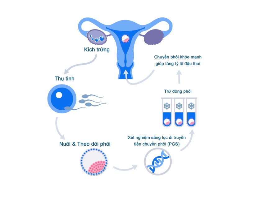 4. Lợi Ích Và Rủi Ro Của Sàng Lọc IVF