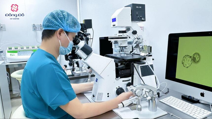 ẢNH: Chuyên gia Laboratory - Đông Đô IVF Center tìm tinh trùng trong mẫu thu từ vi phẫu Micro-TESE dưới kính hiển vi hiện đại.