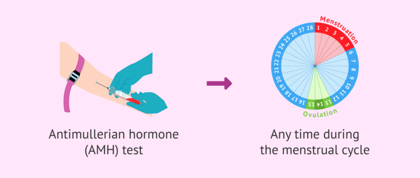 Xét Nghiệm AMH Khi Nào? Cách Hiểu Và Ứng Dụng Kết Quả Xét Nghiệm