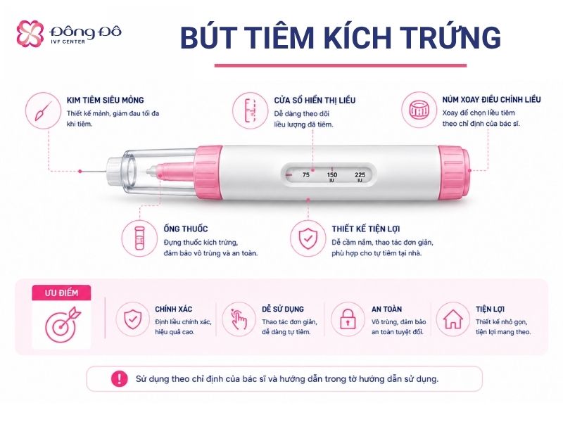 10+ Kinh Nghiệm IVF Thành Công Ngay Lần Đầu Cho Các Cặp Đôi (10)