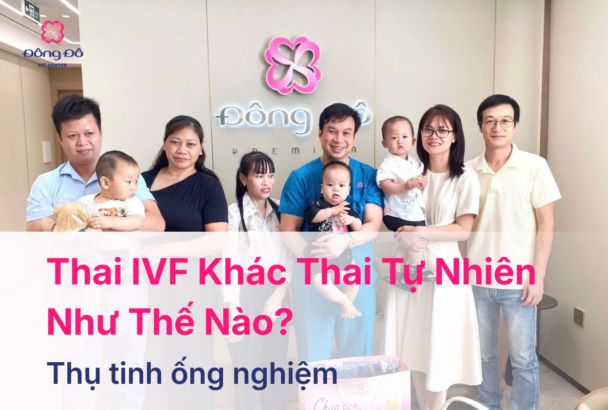 Thai IVF Khác Thai Tự Nhiên Như Thế Nào 5 Điểm Cần Biết (53)