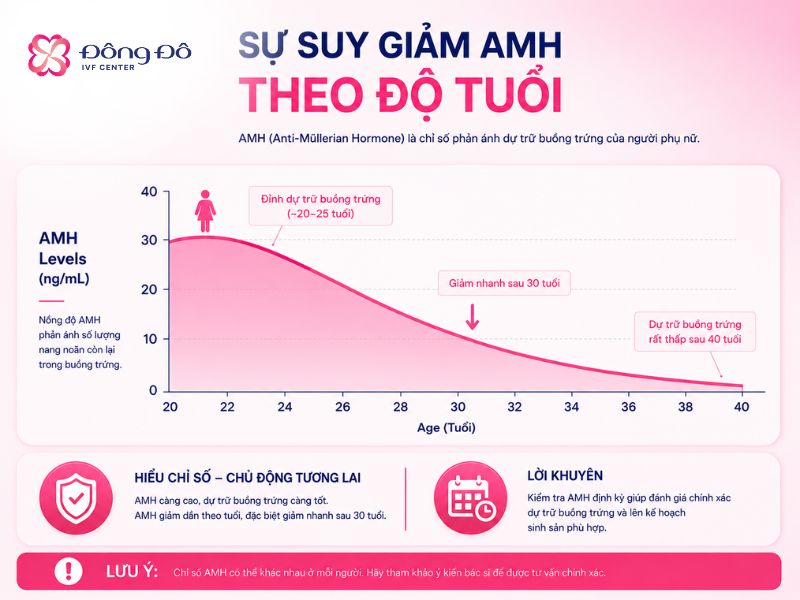 Dự trữ buồng trứng suy giảm theo tuổi tác