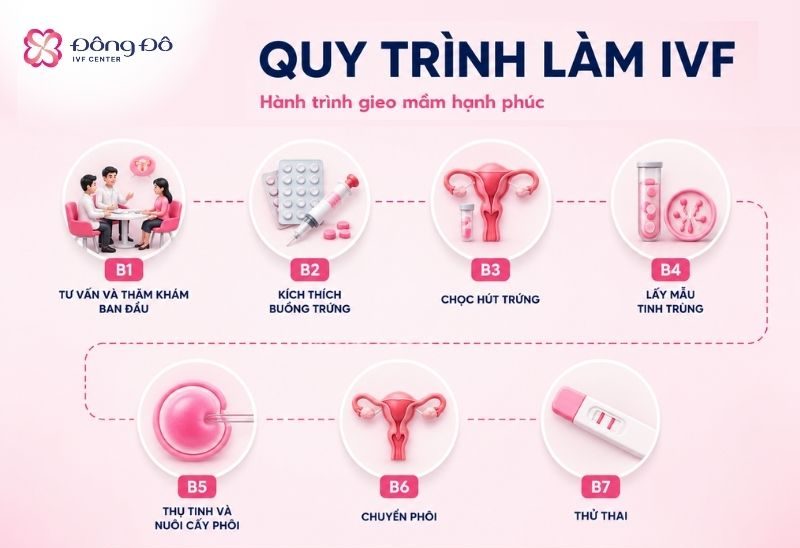 Inforgraphic quy trình làm IVF