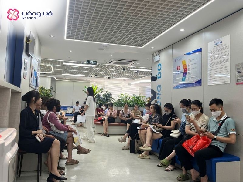 Đông Đô IVF Center được đông đảo các gia đình vô sinh, hiếm muộn tin tưởng lựa chọn làm đơn vị điều trị