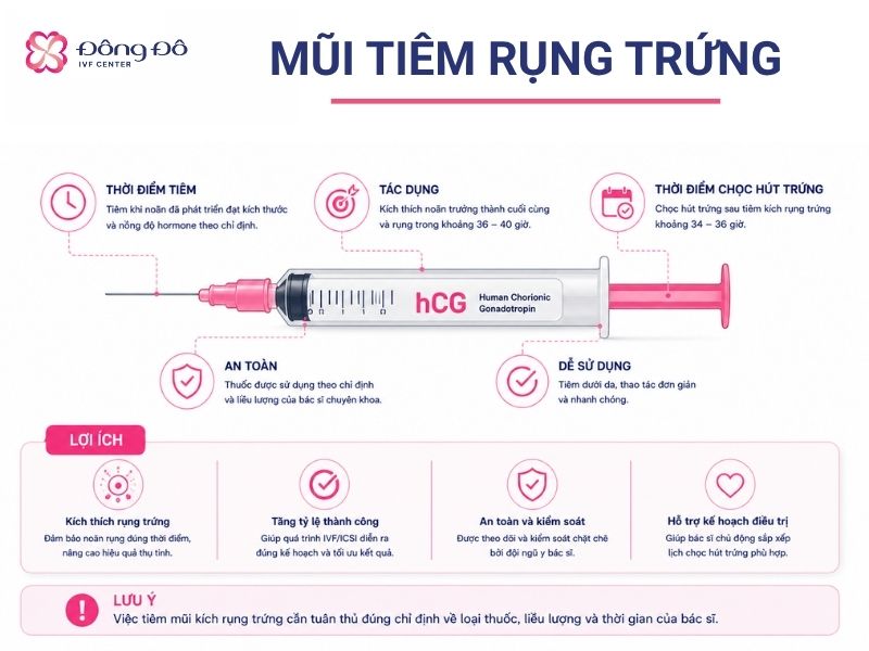 Thông tin mũi tiêm rụng trứng