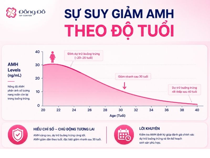 Sau 35 tuổi, chỉ số dự trữ buồng trứng sụt giảm đáng kể