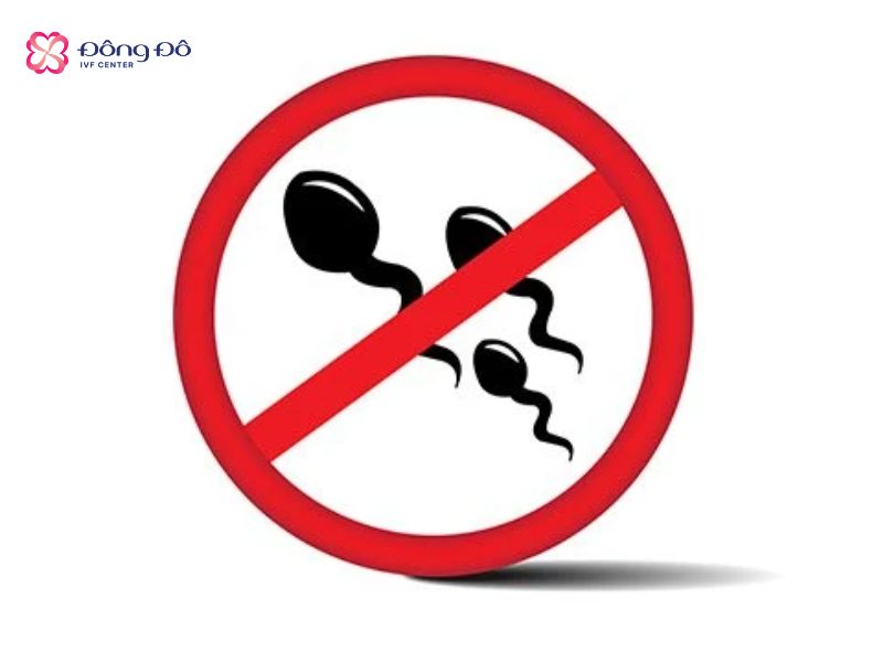 Micro TESE được chỉ định cho những trường hợp không có tinh trùng không do tắc nghẽn