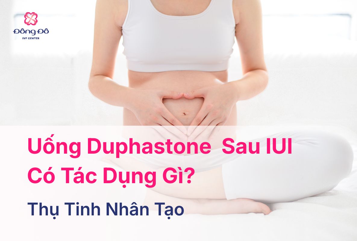 Bác Sĩ Giải Đáp: Uống Duphaston Sau IUI Có Tác Dụng Gì?