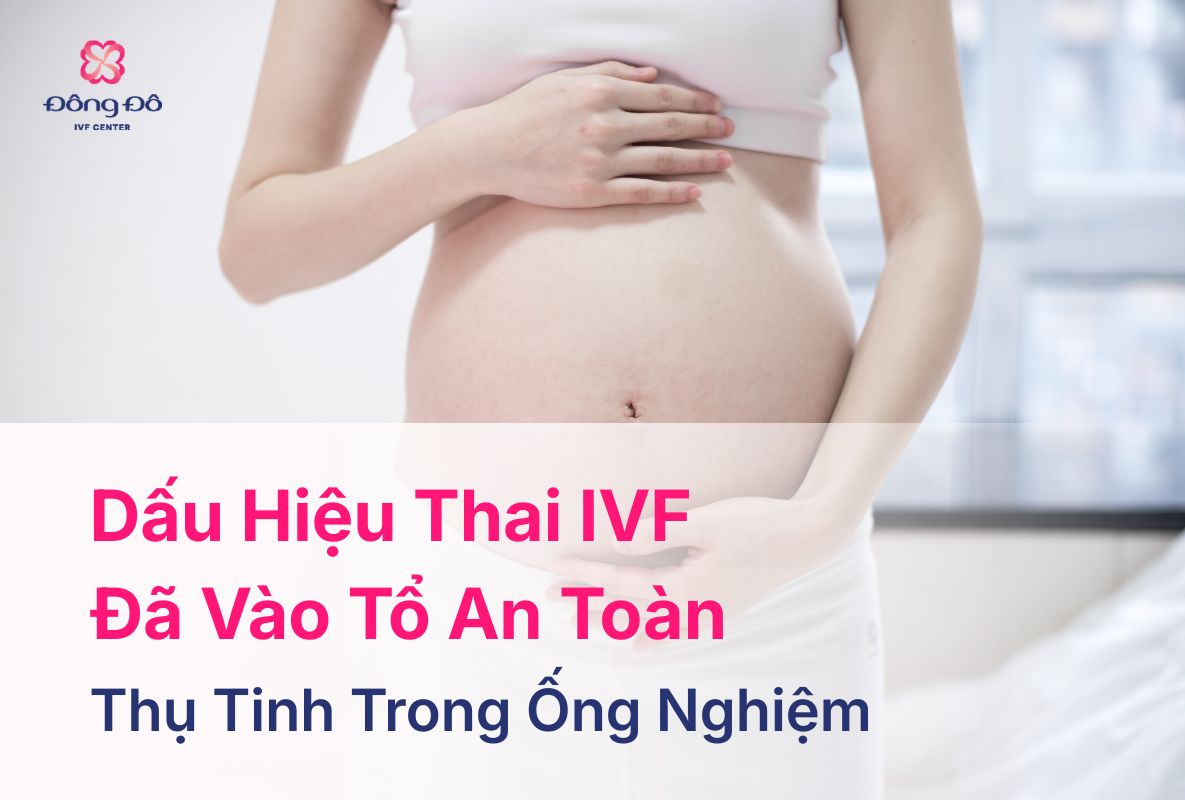10 Dấu Hiệu Thai IVF Đã Vào Tổ An Toàn Dễ Nhận Biết