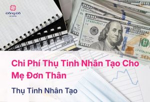 Chi Phí Thụ Tinh Nhân Tạo Cho Mẹ Đơn Thân Hết Bao Nhiêu Tiền?