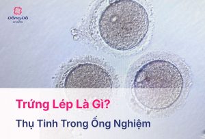 Trứng Lép Là Gì? Nguyên Nhân, Dấu Hiệu, Chẩn Đoán, Điều Trị