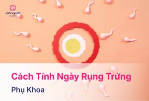 Cách Tính Ngày Rụng Trứng Chính Xác Để Dễ Thụ Thai