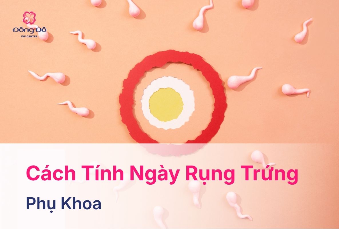 Cách tính ngày rụng trứng