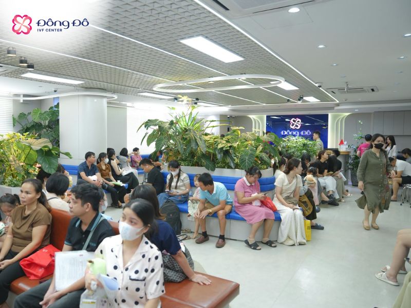 Đông Đô IVF Center là đơn vị hỗ trợ sinh sản uy tín, có chi phí làm thụ tinh nhân tạo cho mẹ đơn thân minh bạch, rõ ràng và hợp lý
