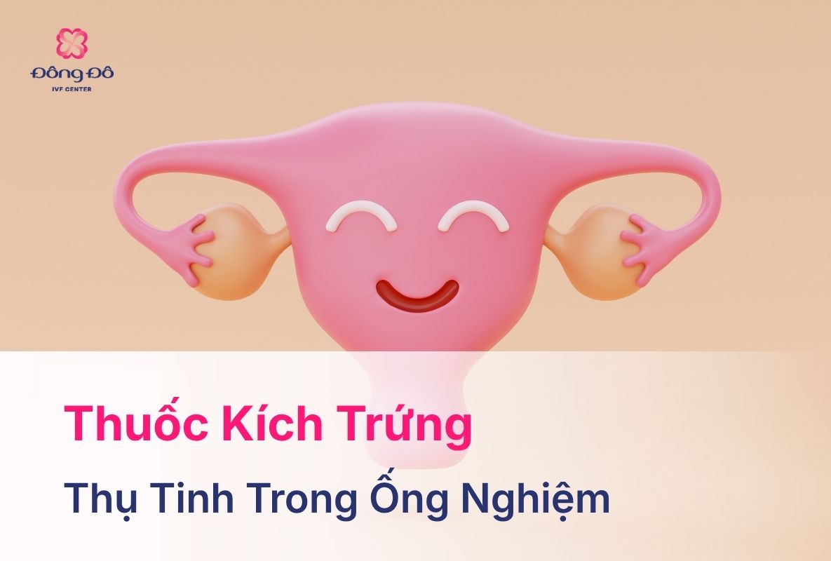 Thuốc Kích Trứng Là Gì? Tác Dụng, Cách Sử Dụng, Chỉ Định