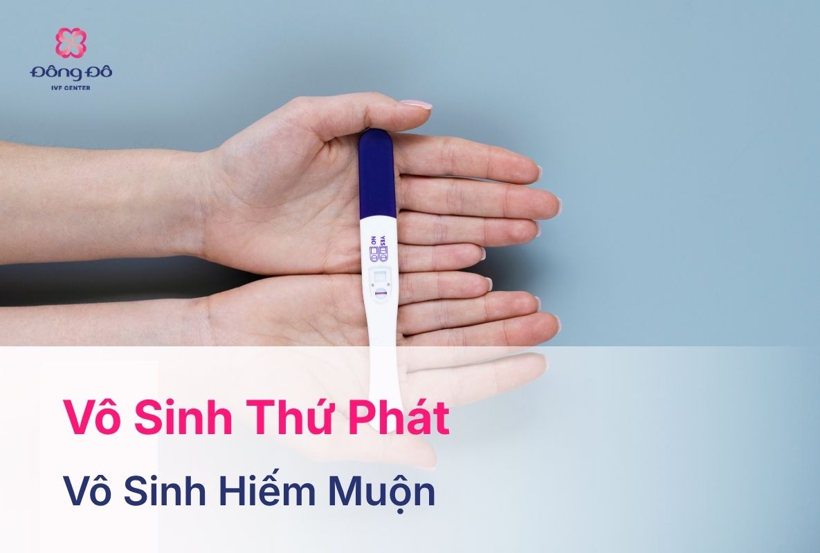 Vô Sinh Thứ Phát Là Gì? Nguyên Nhân, Cách Điều Trị Hiệu Quả