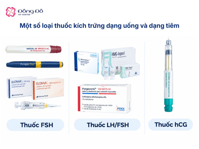 Hình ảnh minh họa 1 số loại thuốc kích trứng dạng uống và dạng tiêm