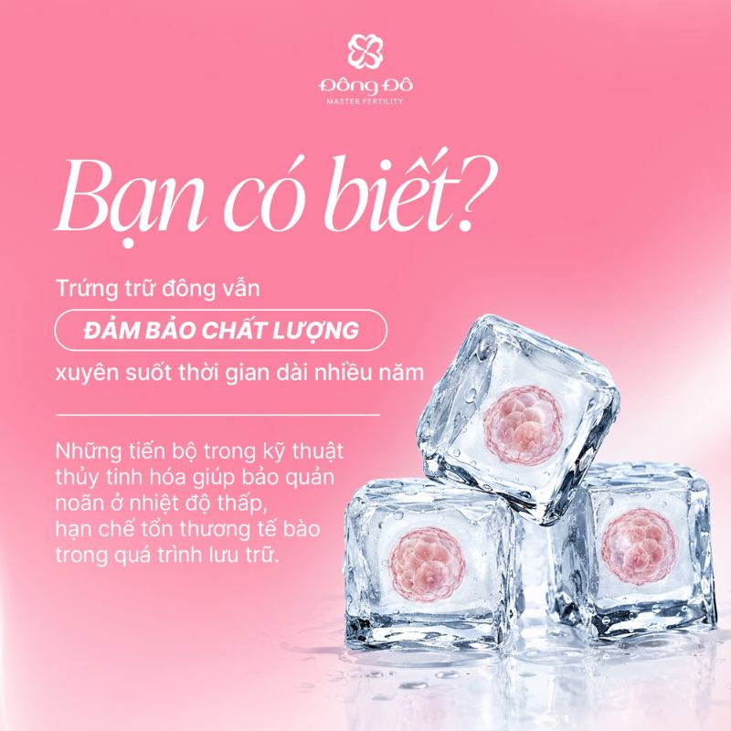 Xu hướng trữ đông trứng