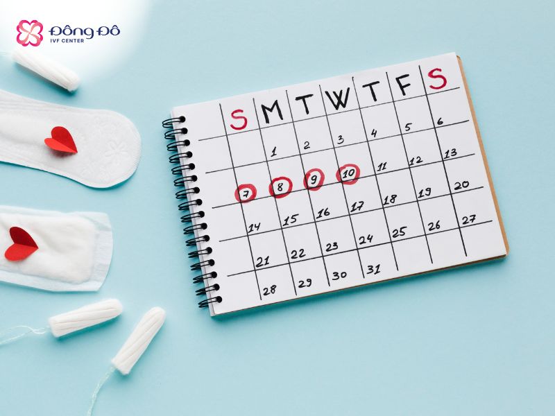 Kinh nguyệt bất thường là dấu hiệu phổ biến ở các trường hợp vô sinh của nữ giới