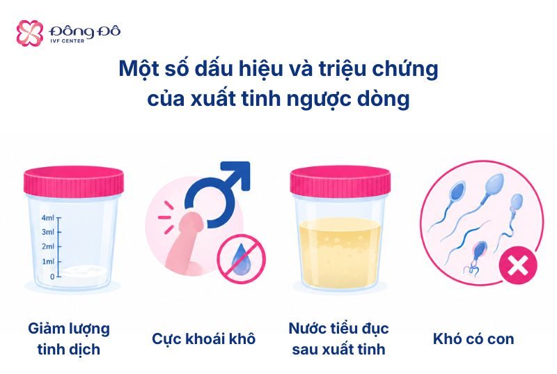 Môt số triệu chứng, dấu hiệu khi bị xuất tinh ngược dòng